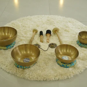 Vishwa Pathways Singing Bowls set of 4